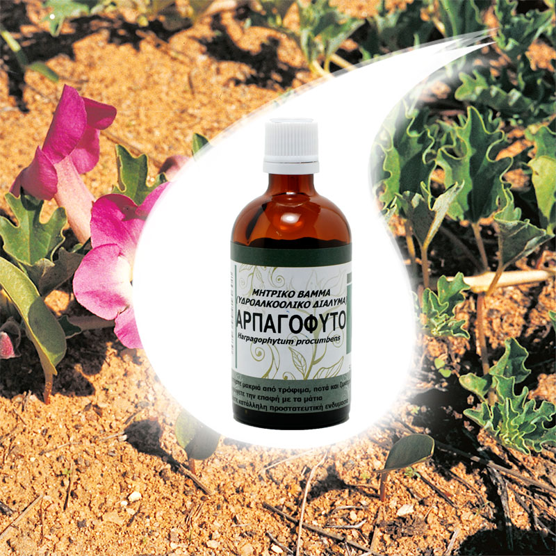 arpagofyto-bamma-50ml