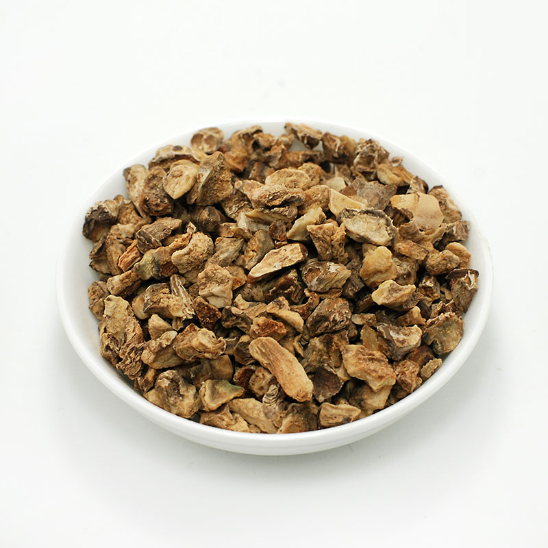 arpagofito-riza.jpg