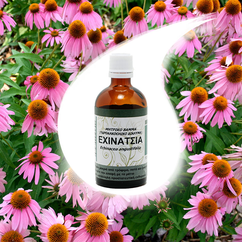 exinakeia-bamma-50ml.jpg
